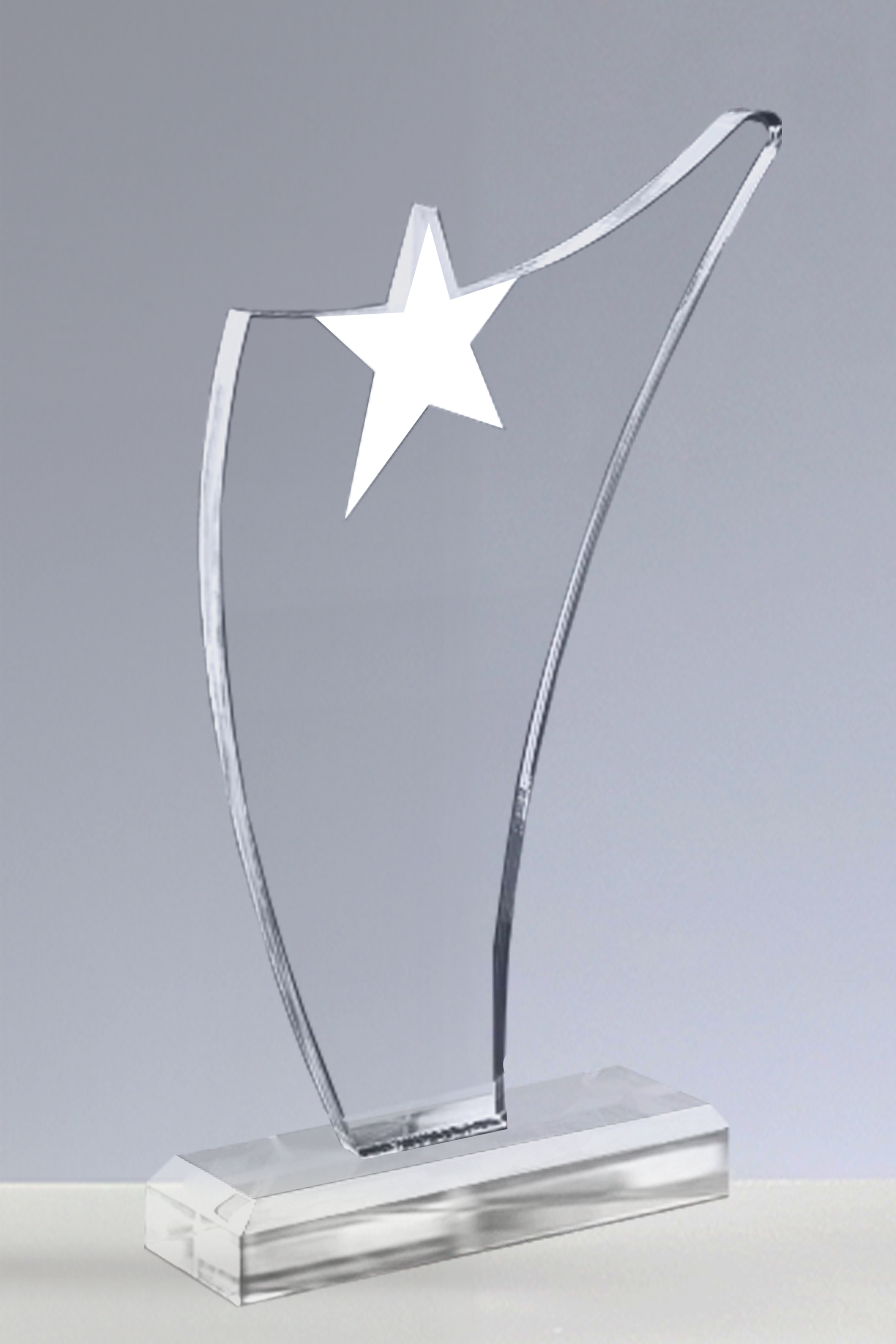 Trofee Personalizate PSW 110